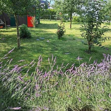 Bellart With Sauna Radovljica